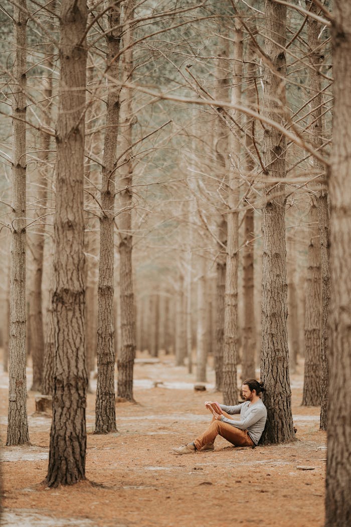 services-01 A man sits against a pine tree, reading in a tranquil winter forest setting. Captured during daylight.